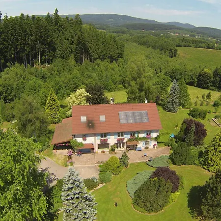 Chaleureux Avec Cheminee, Jardin, Proche Des Randonnees Vosgiennes Et Attractions Alsaciennes - Fr-1-589-224 בית נופש Provenchères-sur-Fave
