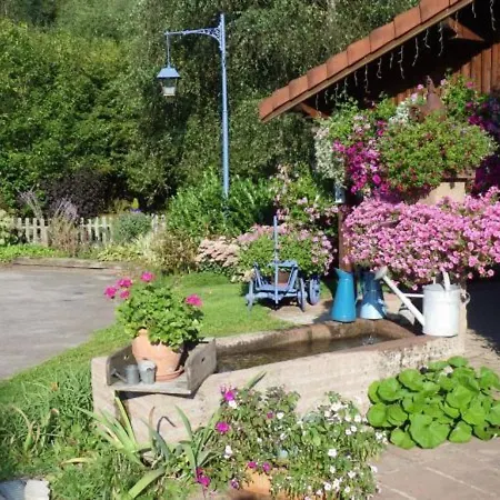 Chaleureux Avec Cheminee, Jardin, Proche Des Randonnees Vosgiennes Et Attractions Alsaciennes - Fr-1-589-224 Provenchères-sur-Fave