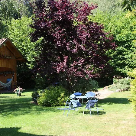בית נופש Chaleureux Avec Cheminee, Jardin, Proche Des Randonnees Vosgiennes Et Attractions Alsaciennes - Fr-1-589-224
