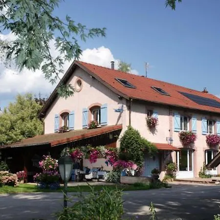 Chaleureux Avec Cheminee, Jardin, Proche Des Randonnees Vosgiennes Et Attractions Alsaciennes - Fr-1-589-224 Provenchères-sur-Fave